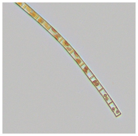 意大利贵宾会(中国区)官方网站入口