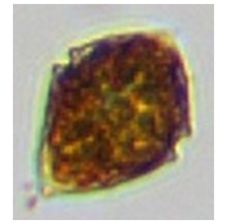 意大利贵宾会(中国区)官方网站入口