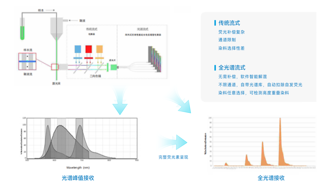意大利贵宾会(中国区)官方网站入口