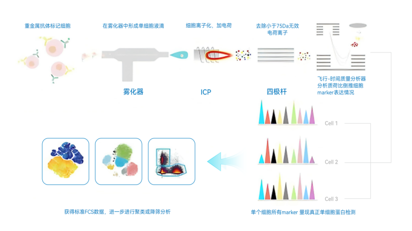 意大利贵宾会(中国区)官方网站入口