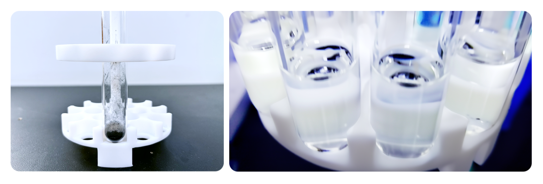 意大利贵宾会(中国区)官方网站入口