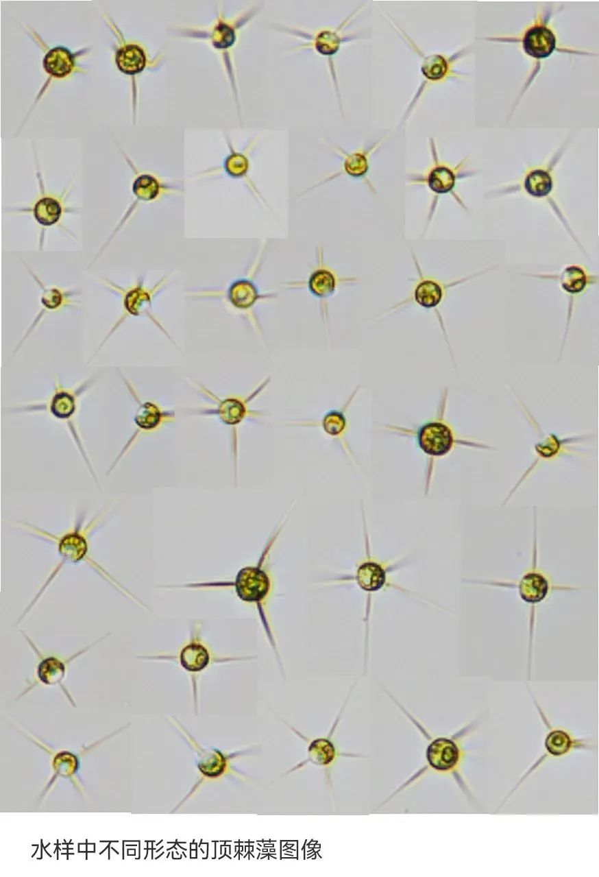 意大利贵宾会(中国区)官方网站入口
