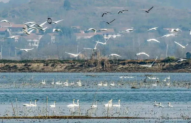意大利贵宾会(中国区)官方网站入口