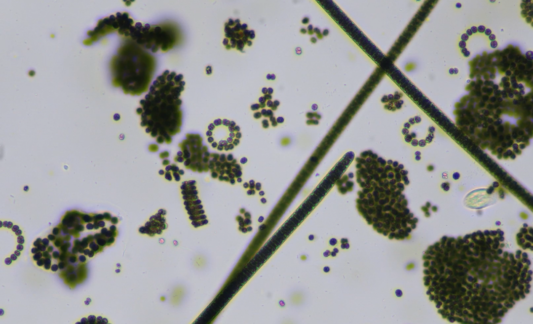 意大利贵宾会(中国区)官方网站入口