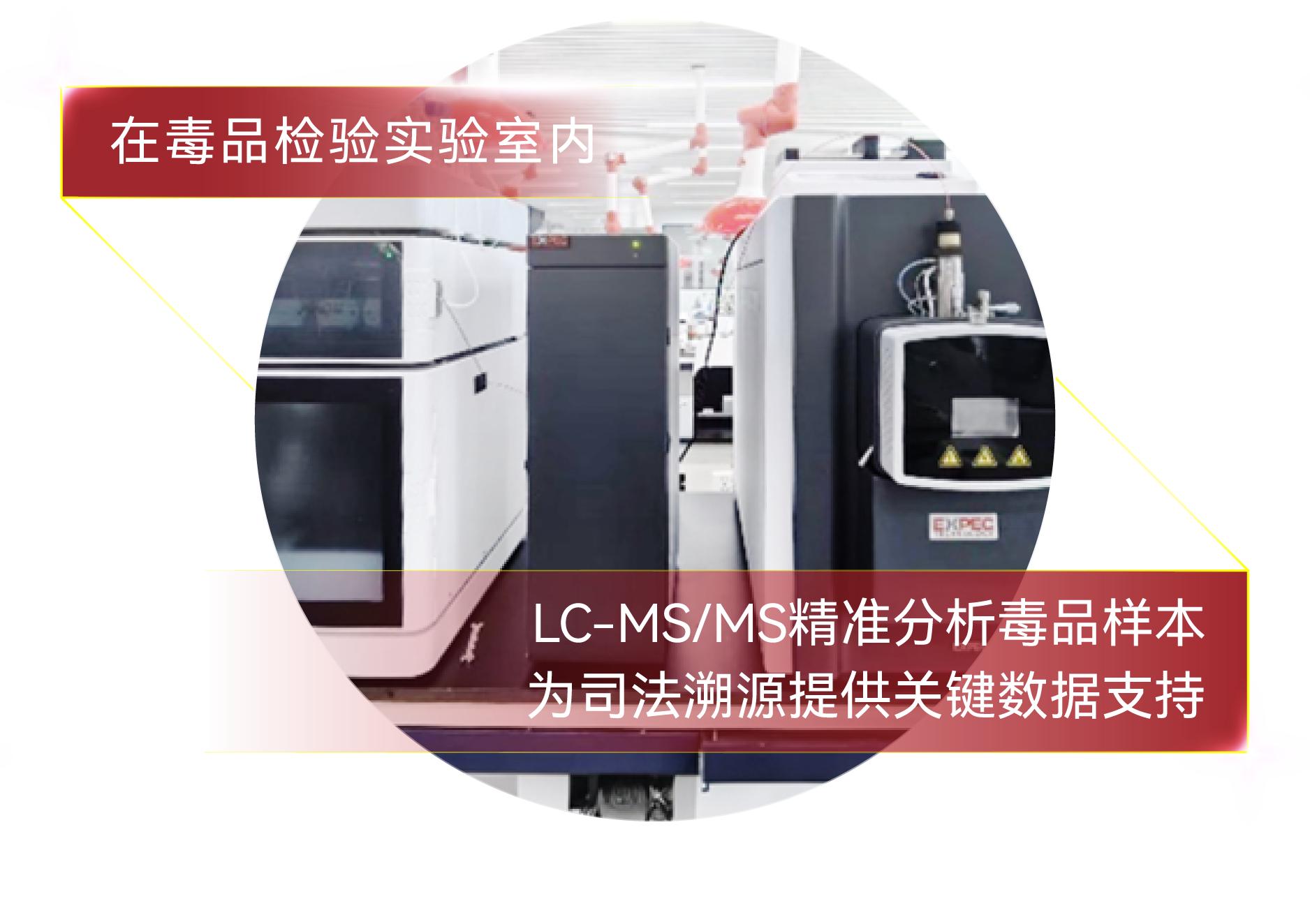 意大利贵宾会(中国区)官方网站入口